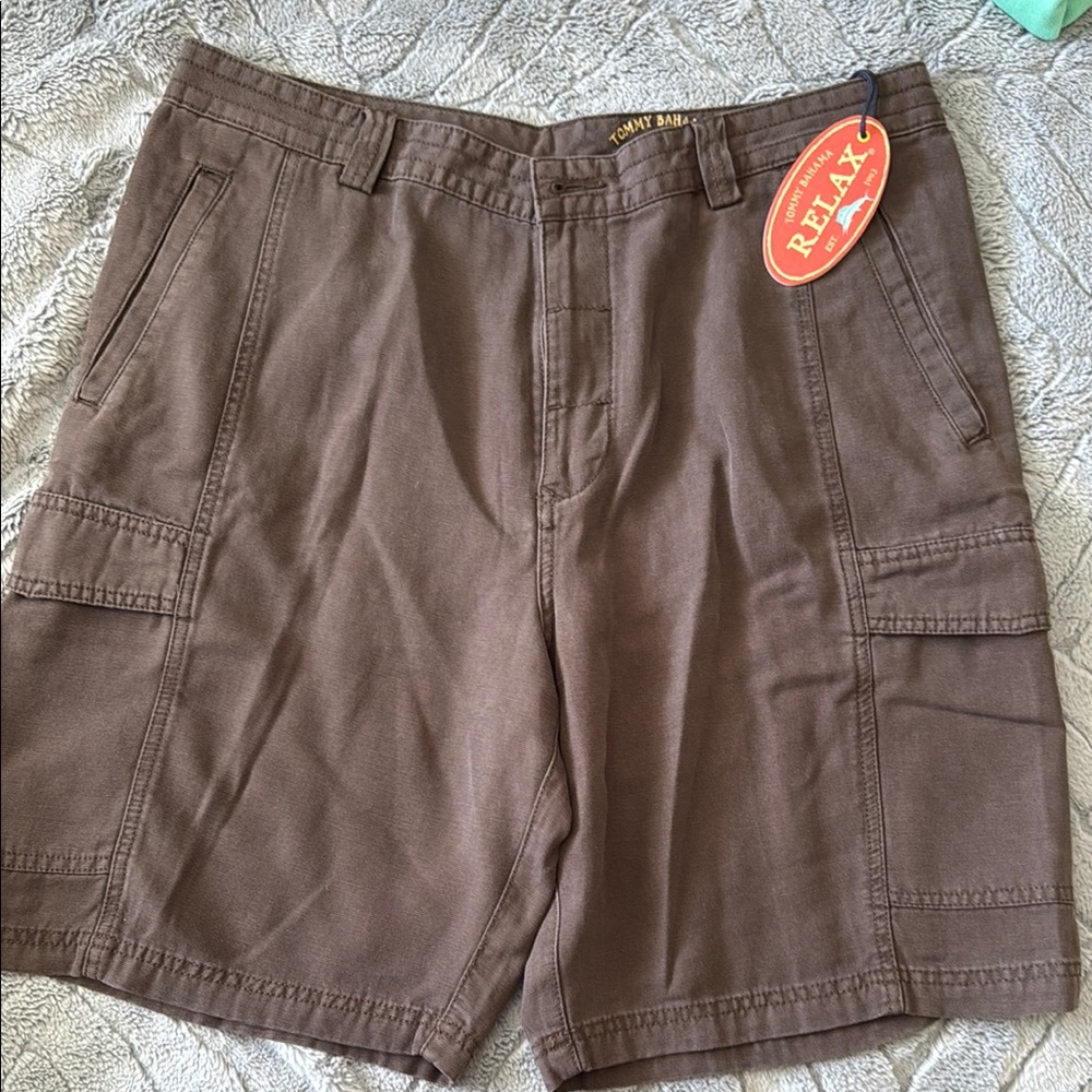 Brown Men's Cargo Shorts